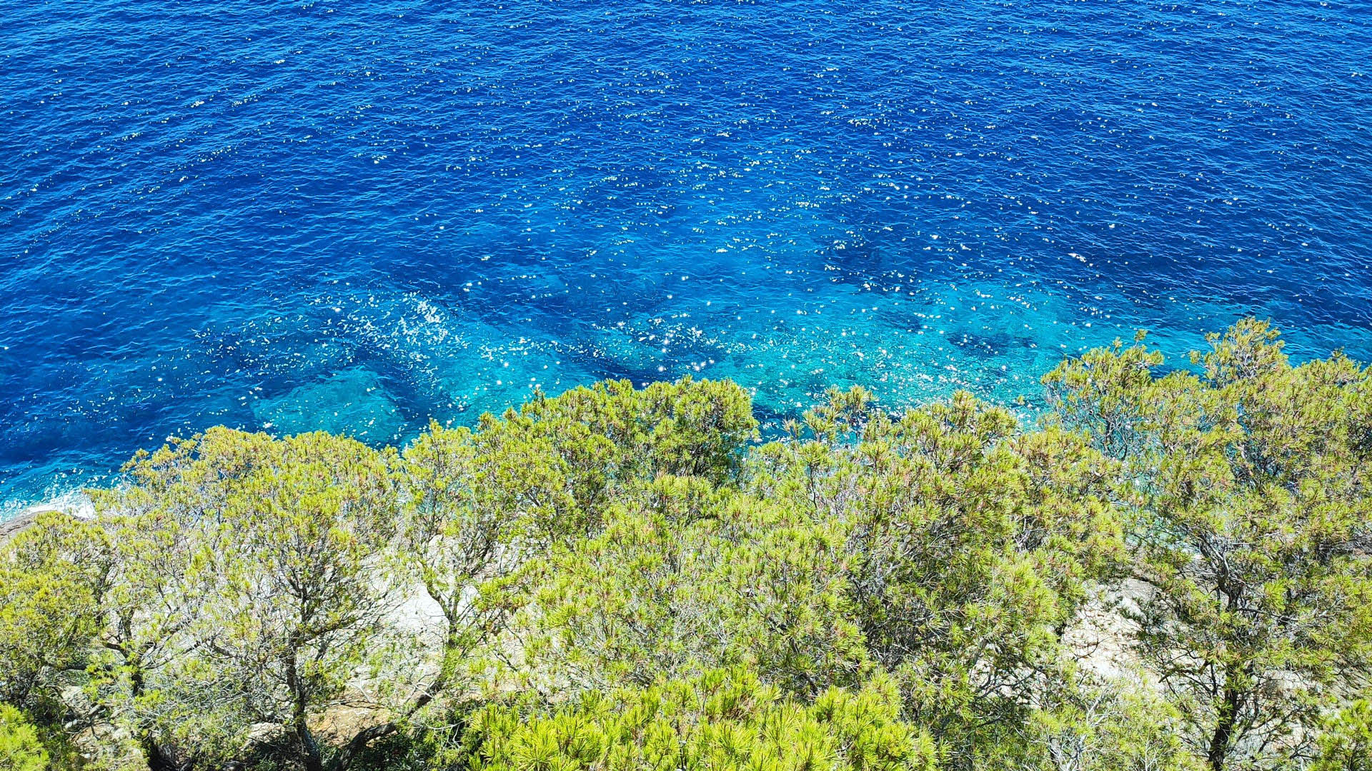 IMG_20230714_135510-scaled