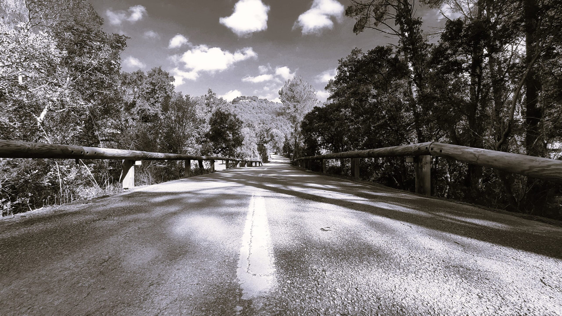 IMG_20250215_115505-BW-scaled