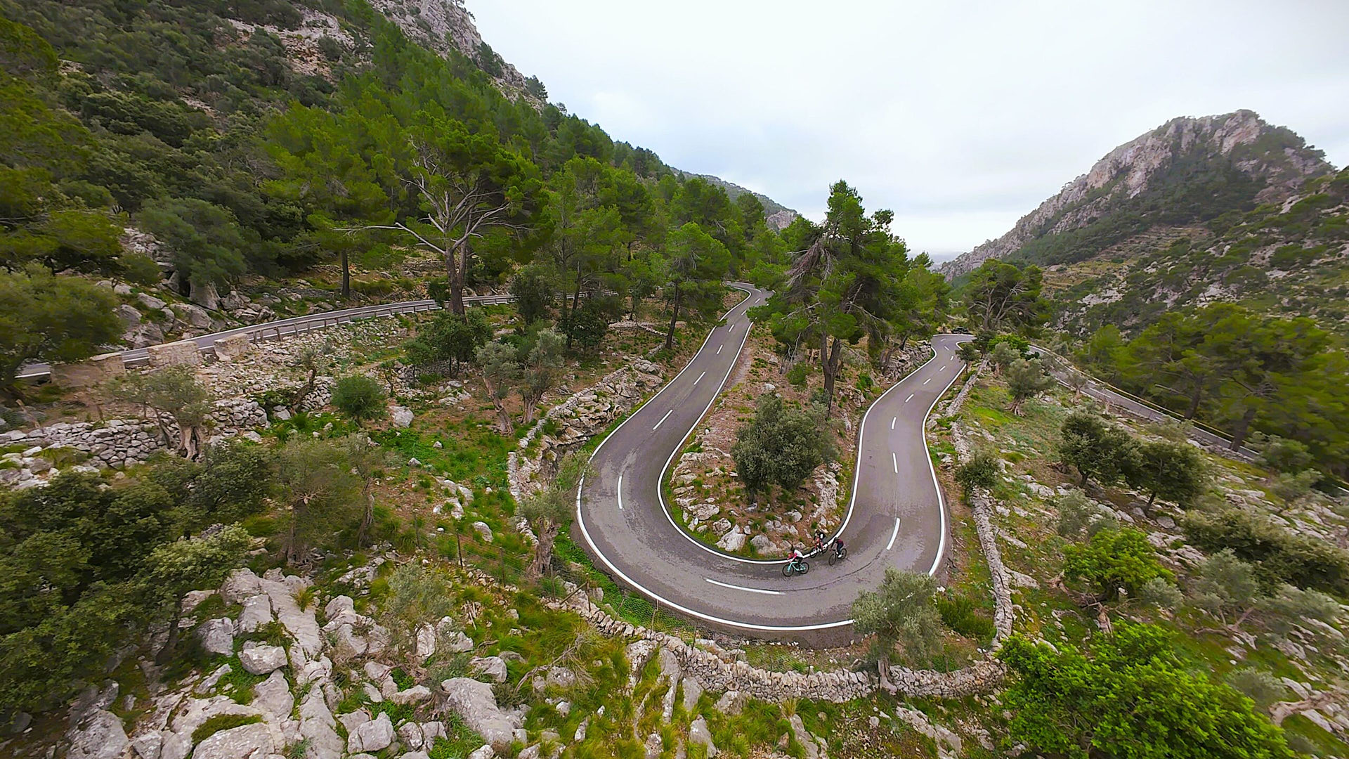 vlcsnap-2024-12-03-14h29m45s051-scaled