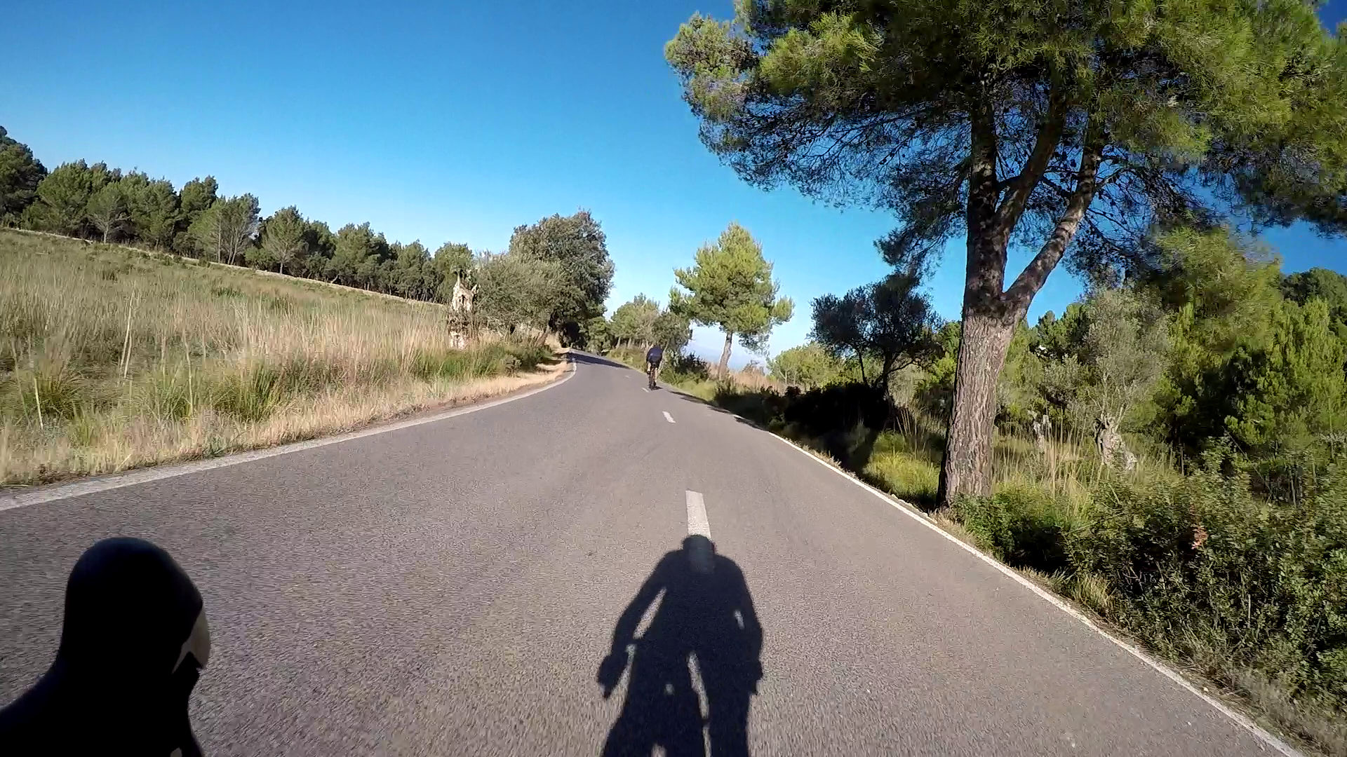 vlcsnap-2024-12-03-15h09m39s569