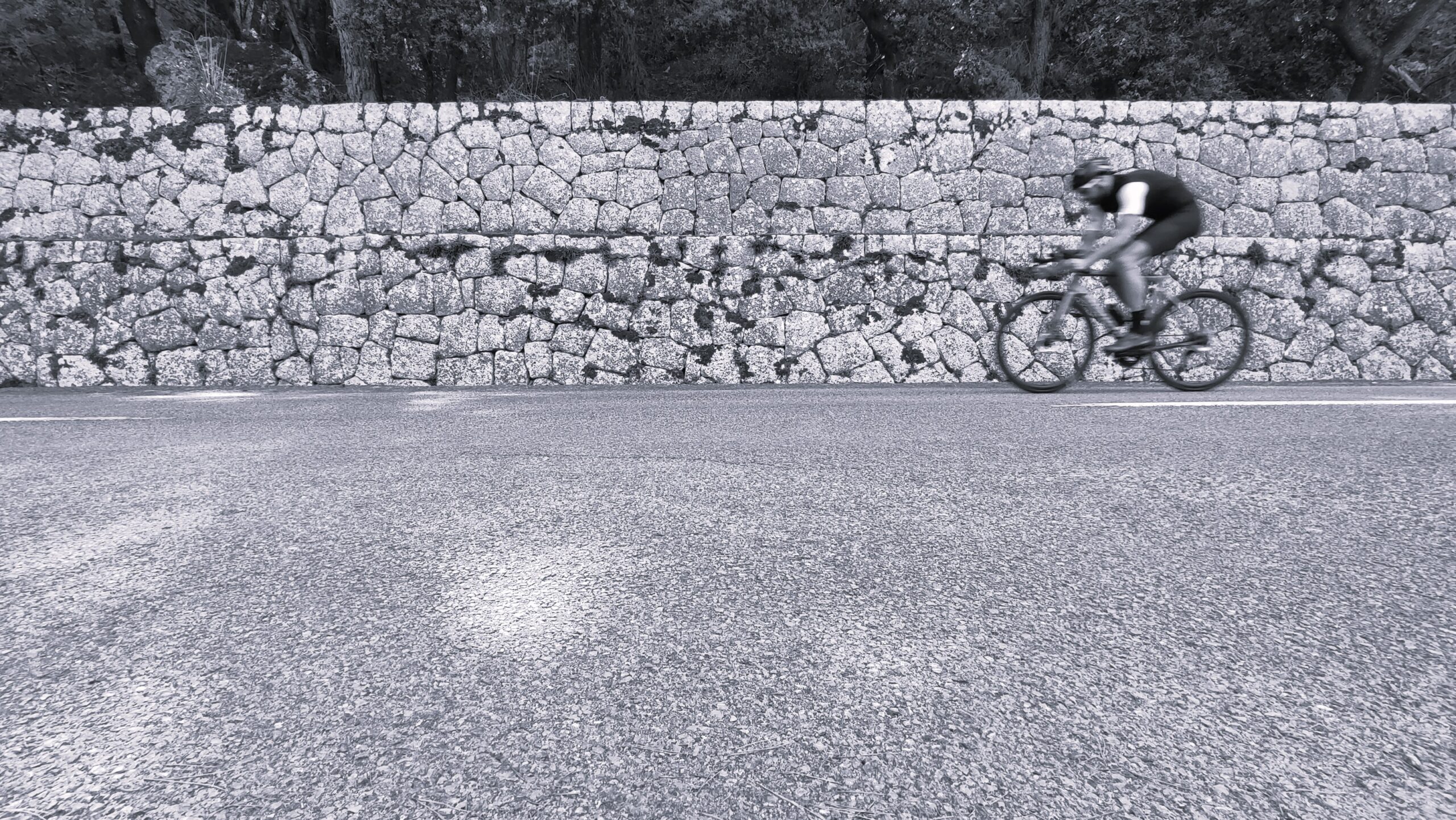 IMG_20240917_124401-scaled