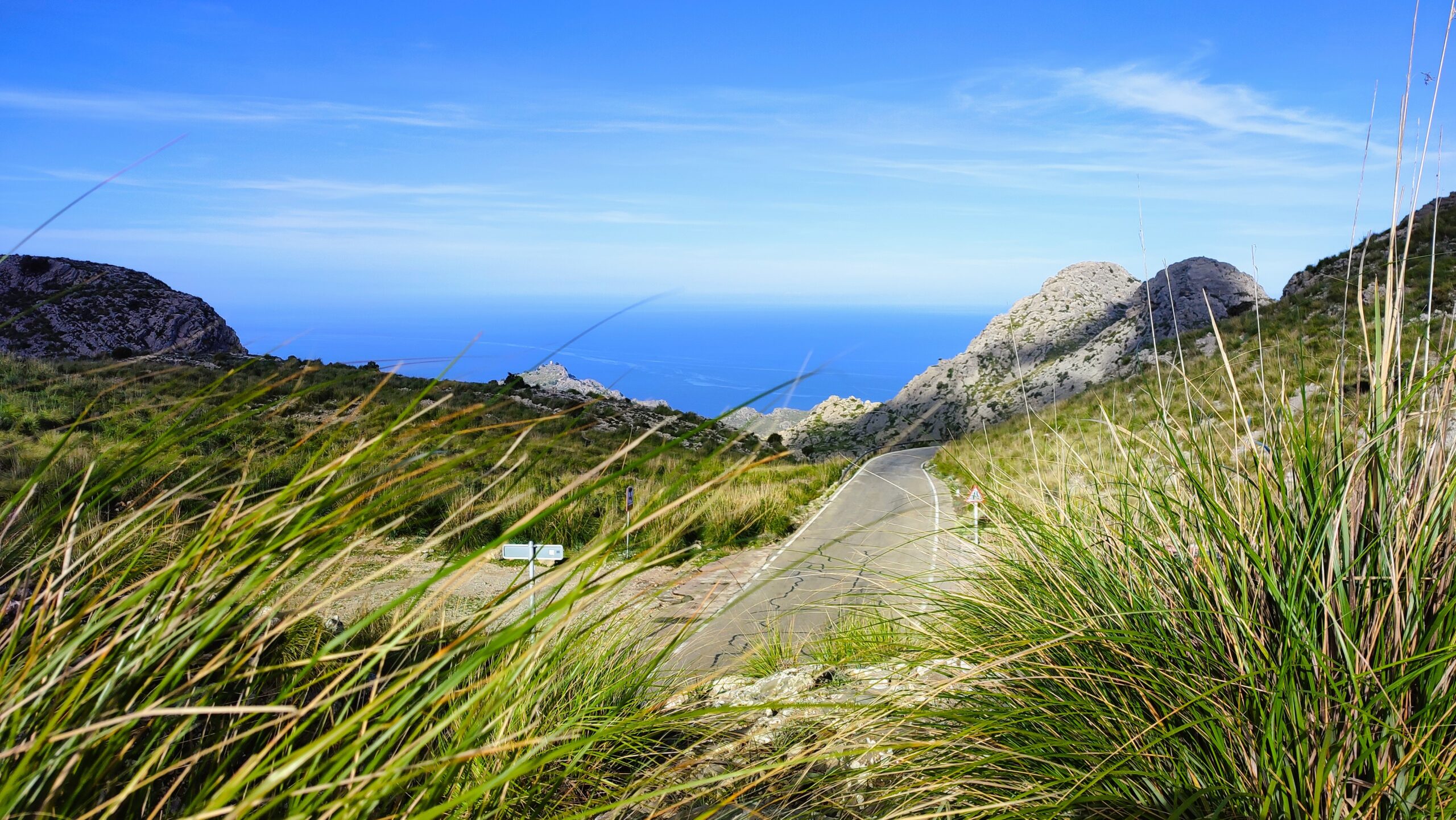 IMG_20241124_110639-scaled