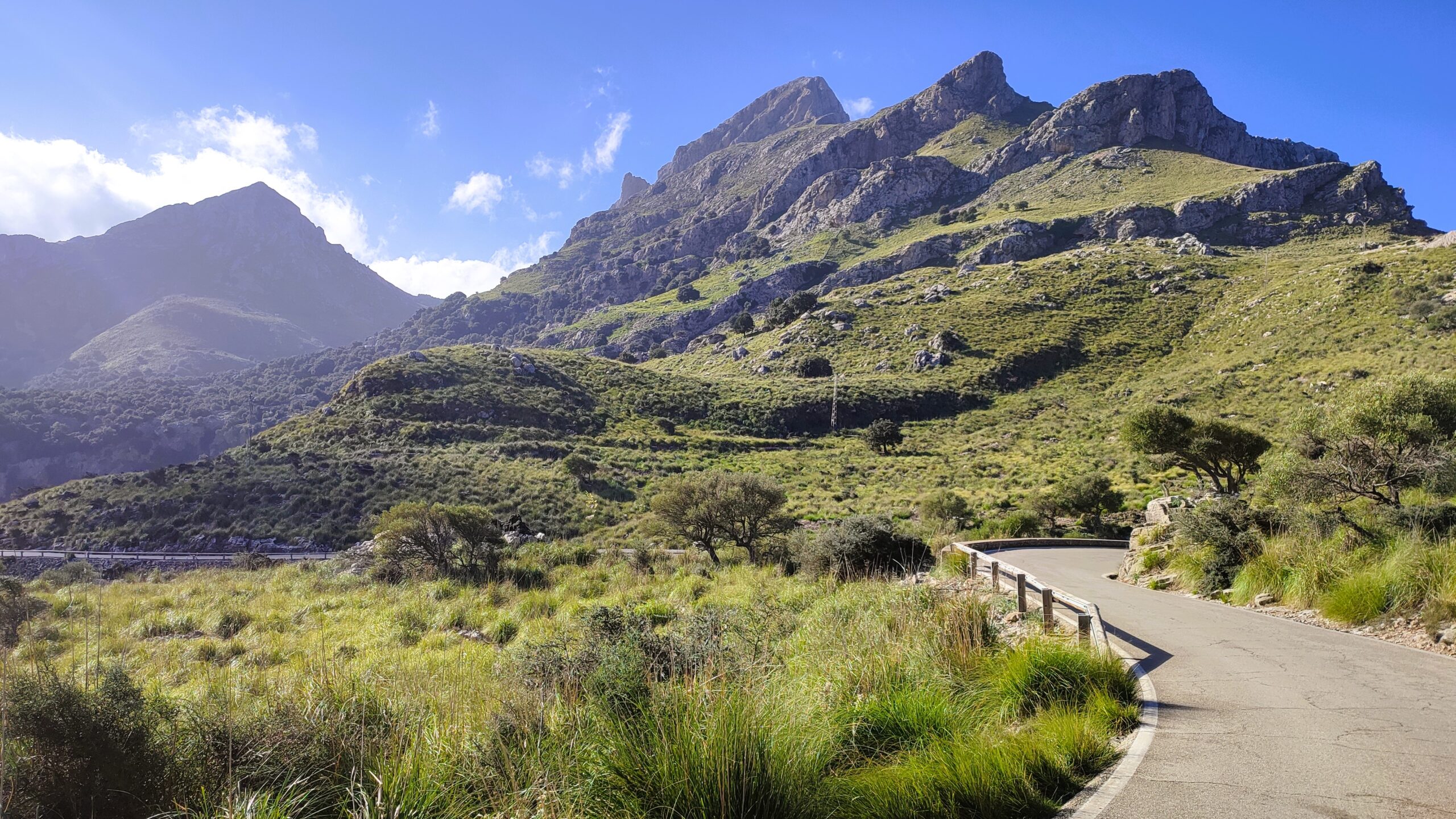 IMG_20241124_112248-scaled