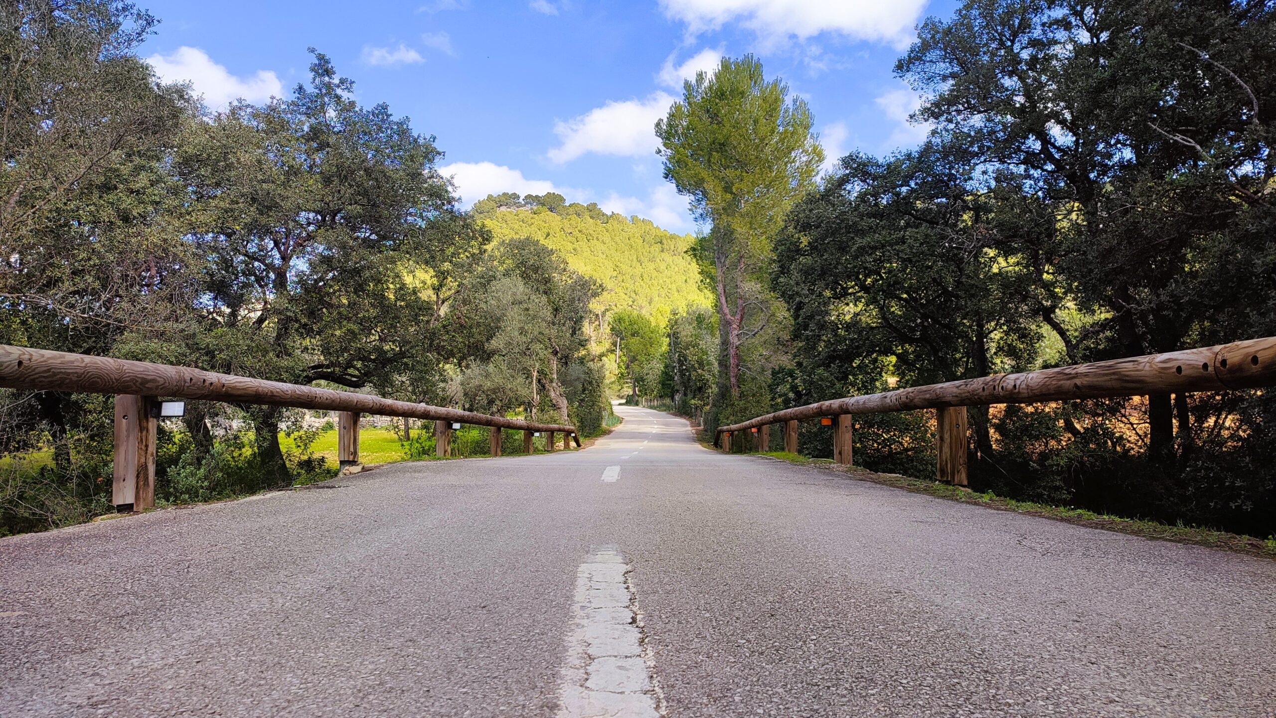 IMG_20250215_114815-scaled