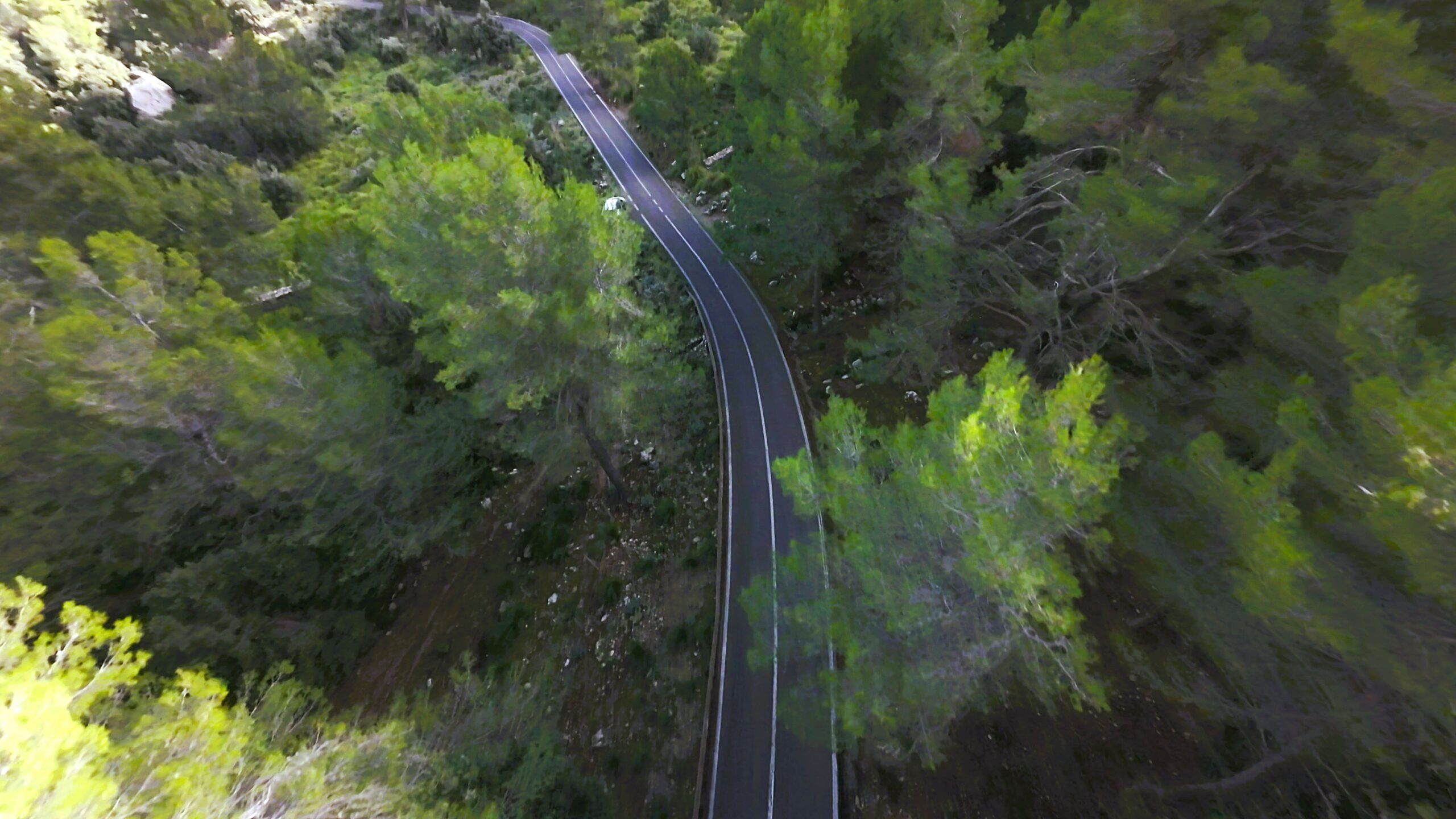 vlcsnap-2024-12-03-14h20m08s583-scaled