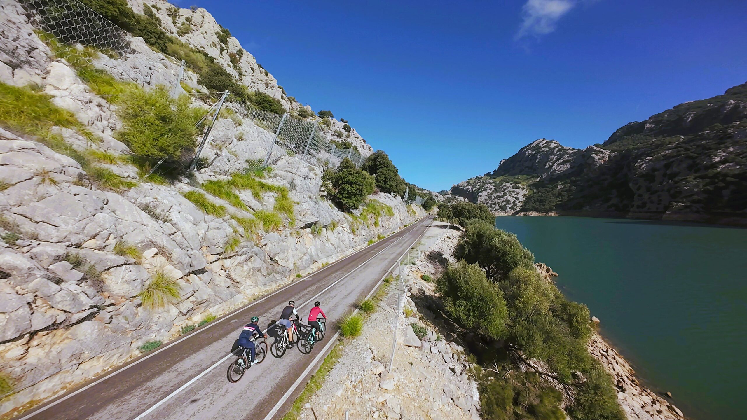 vlcsnap-2024-12-03-14h55m35s705-scaled