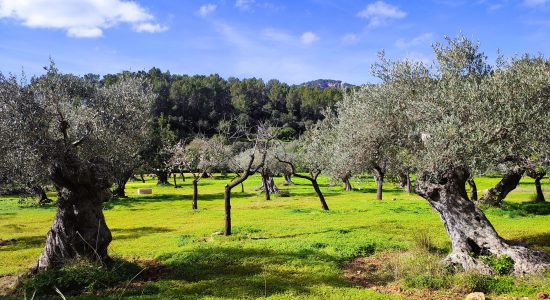 IMG_20250215_115048-scaled